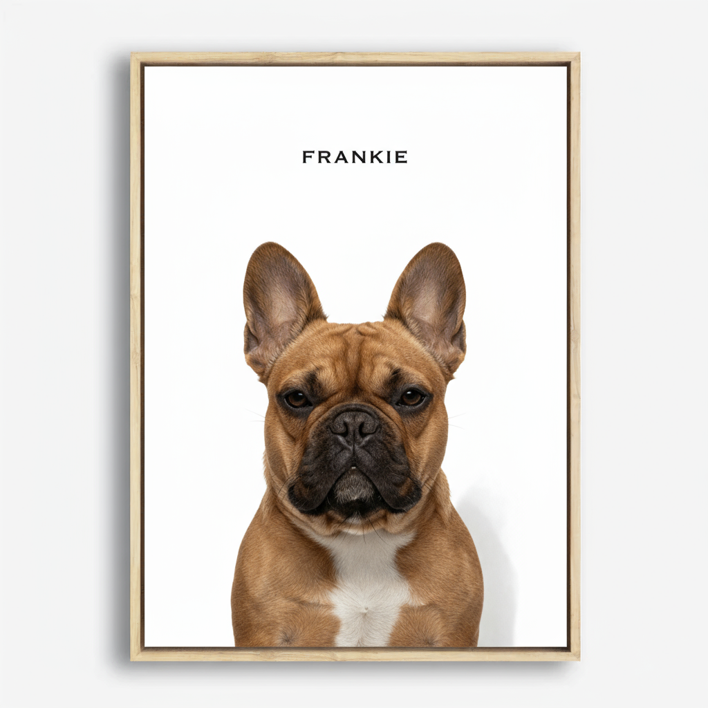 The Standard Pet Portrait