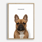 The Standard Pet Portrait