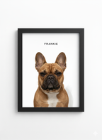 The Standard Pet Portrait