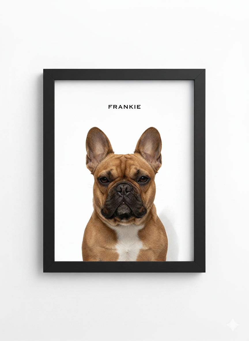 The Standard Pet Portrait