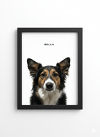 The Standard Pet Portrait