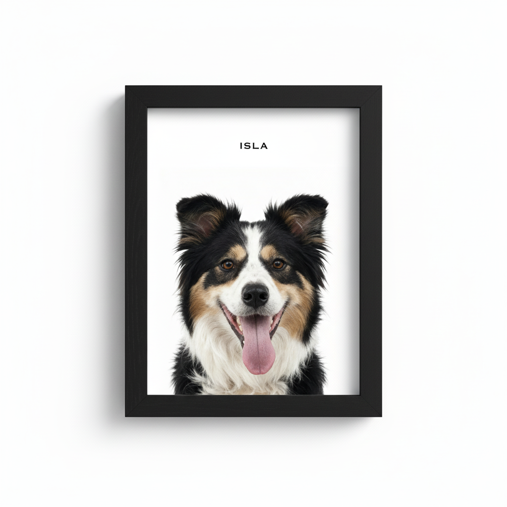 The Standard Pet Portrait
